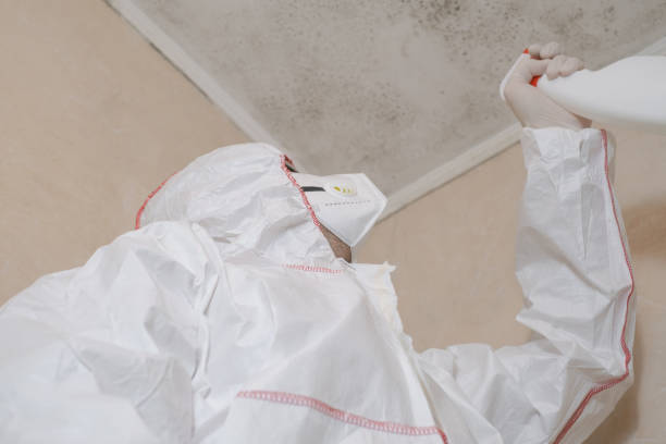 Best Mold Removal Near Me  in Manchester, NH